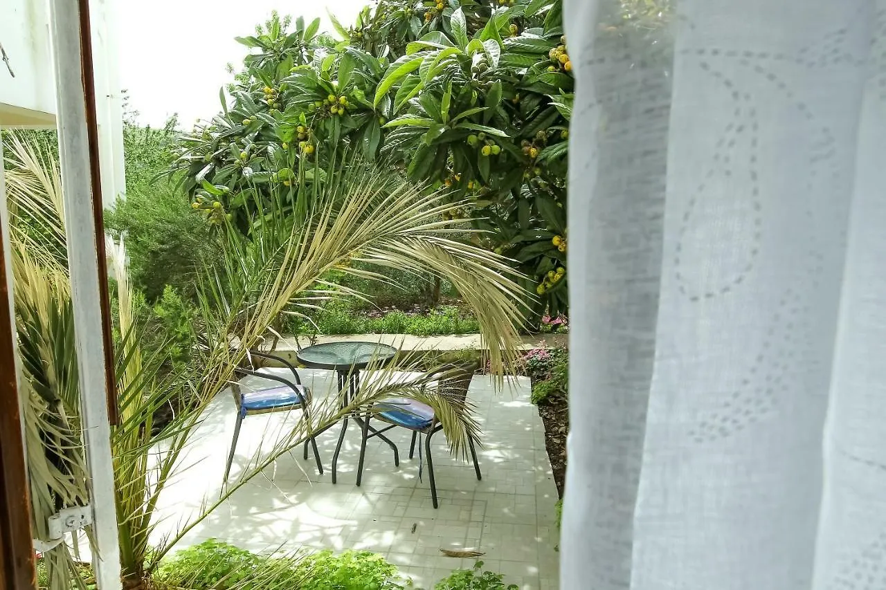 Apartment Martedic Savar 0*,
